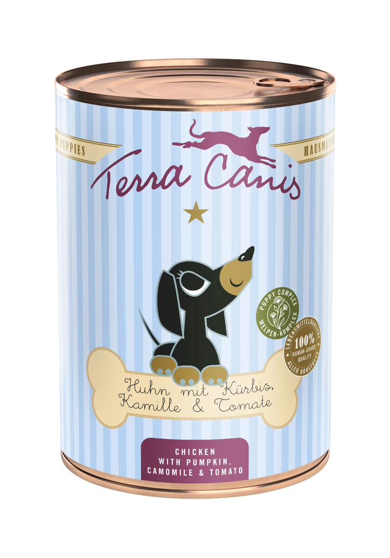 Terra Canis ドッグフード 12缶セット テラカニス》この冬の限定缶ウィンターラブとXmasギフトボックス