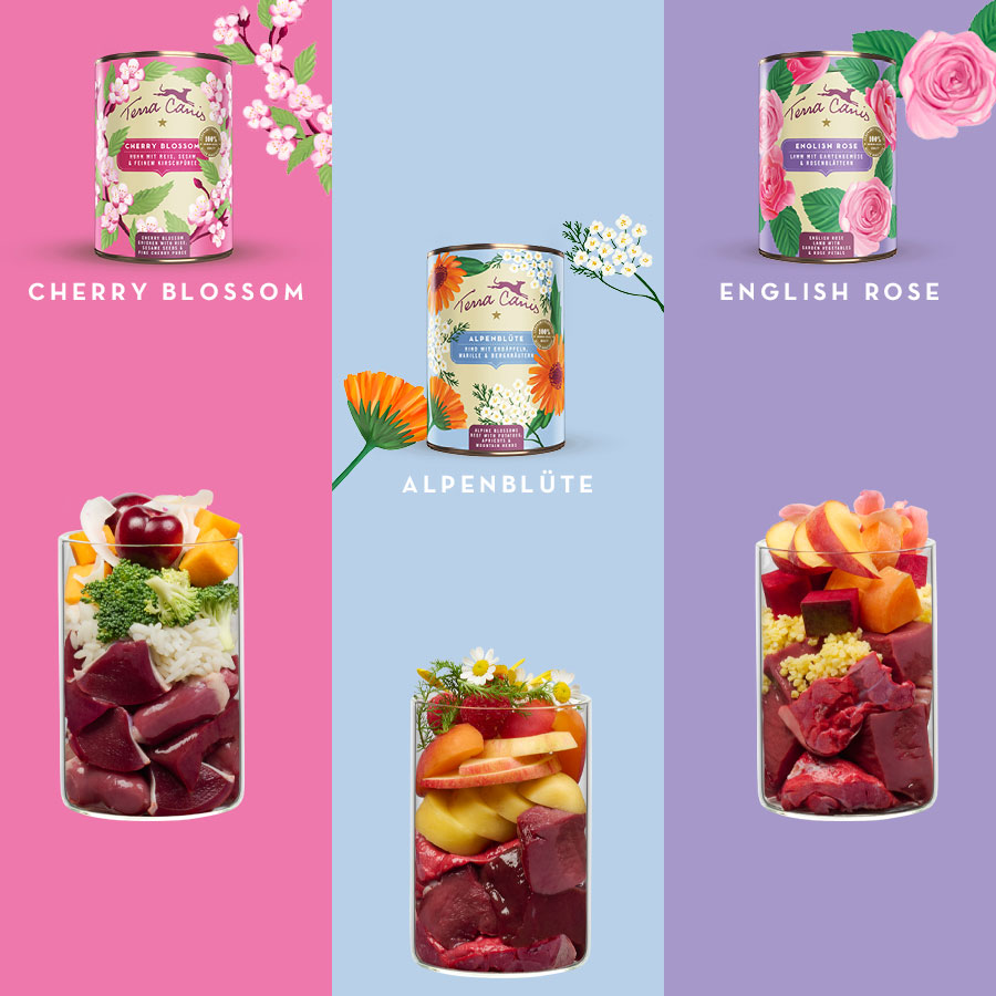 フラワーギフトボックス