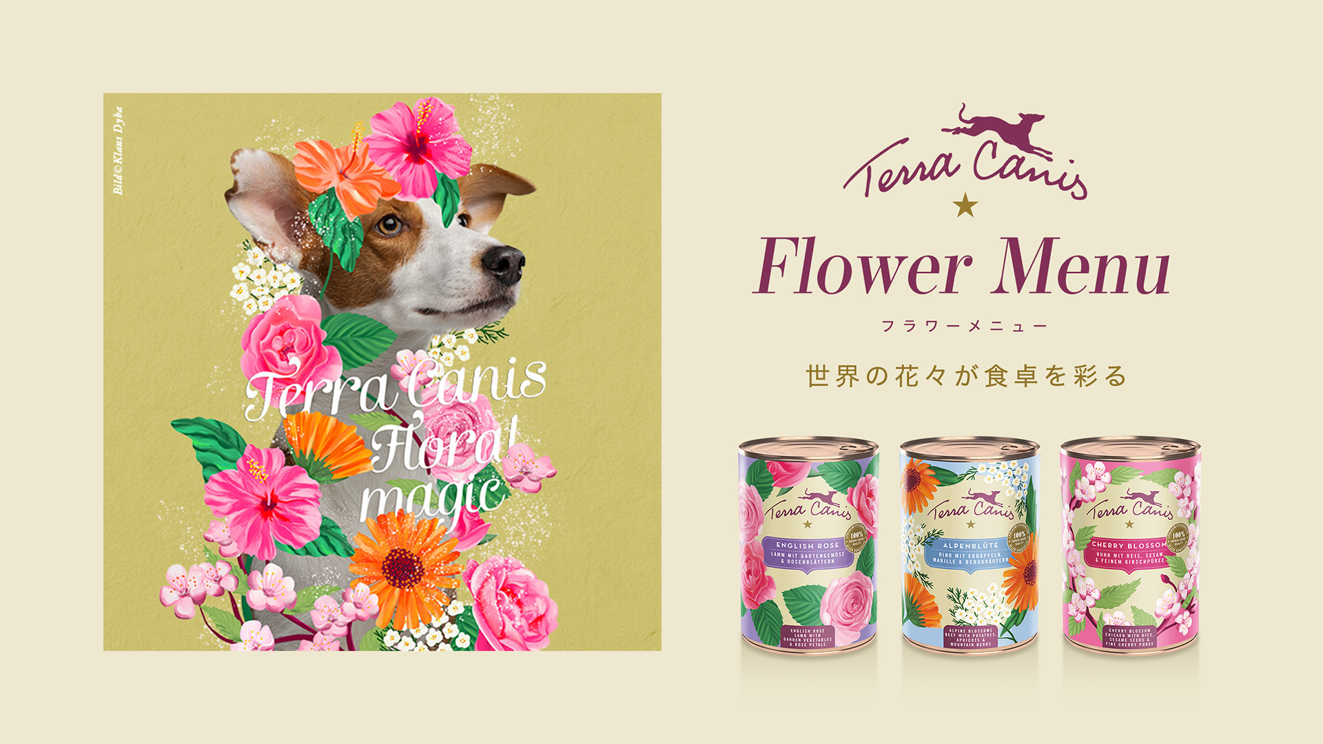 TerraCanis(テラカニス) 輸入元・卸販売　株式会社Tricco International （トリッコインターナショナル）